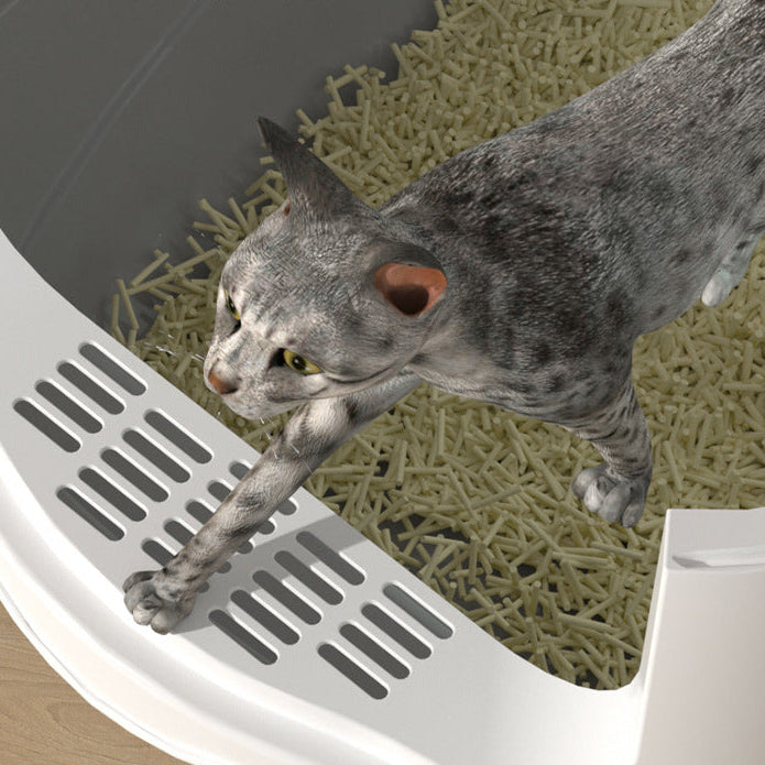 Cat using a litter box with a clear lid, showing the litter inside.