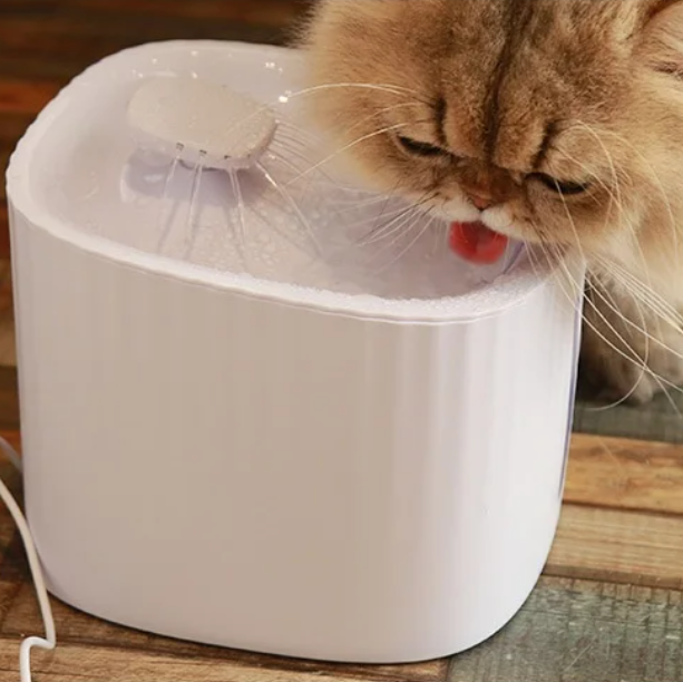 Cat drinking from a white pet water fountain on a wooden floor.