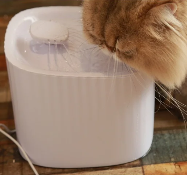 Wireless Cat Water Fountain